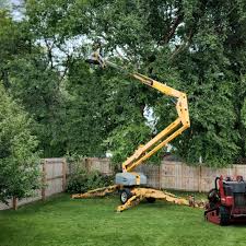 Best Tree Health Inspection  in Weatherford, OK