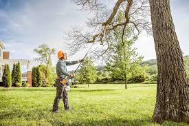  Weatherford, OK Tree Services Pros