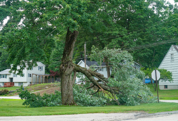 Leaf Removal in Weatherford, OK